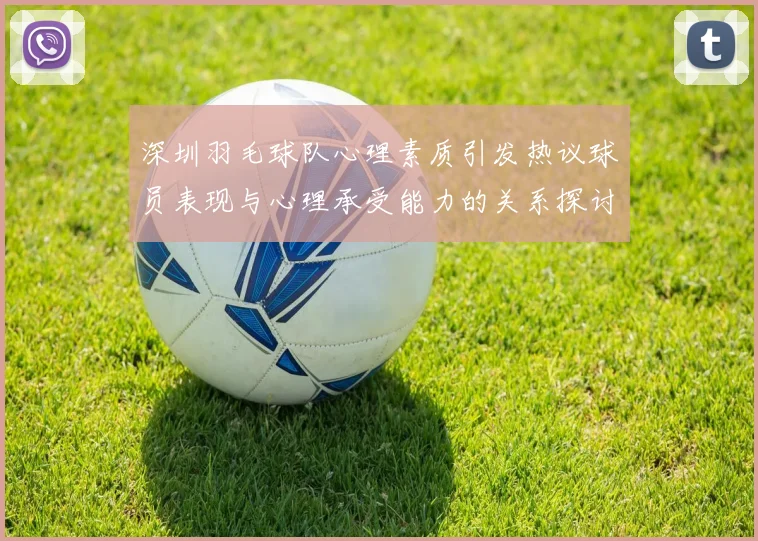 深圳羽毛球队心理素质引发热议球员表现与心理承受能力的关系探讨