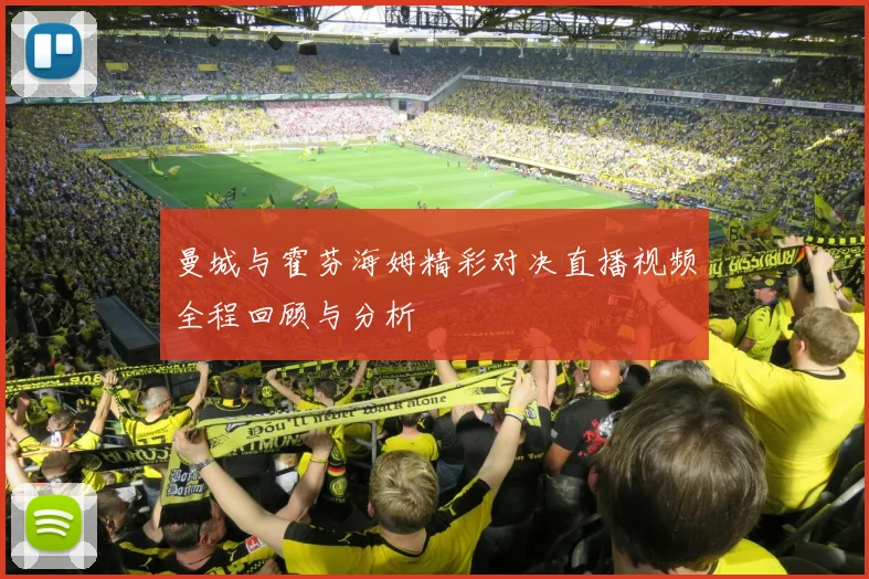 曼城与霍芬海姆精彩对决直播视频全程回顾与分析