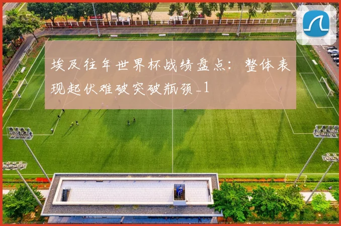 埃及往年世界杯战绩盘点：整体表现起伏难破突破瓶颈_1