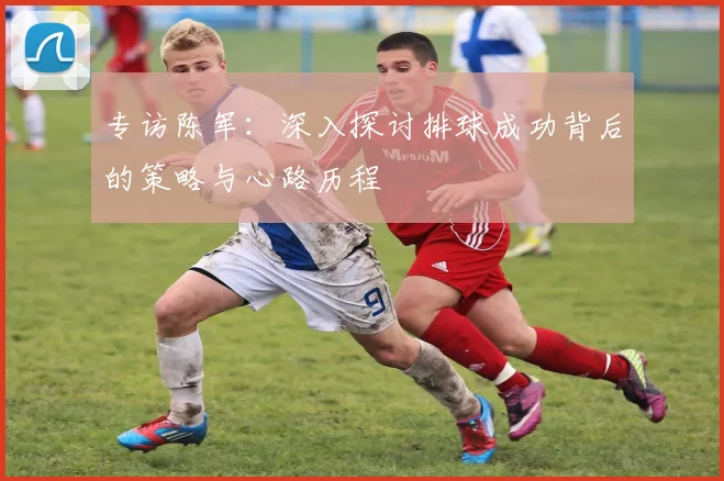 专访陈军：深入探讨排球成功背后的策略与心路历程