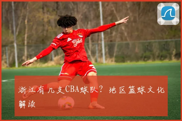 浙江有几支CBA球队？地区篮球文化解读